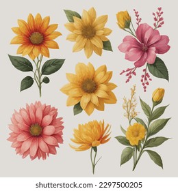 Illustration Flowers decorative set elements isolated on white background