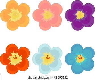 Illustration of flowers in different colours
