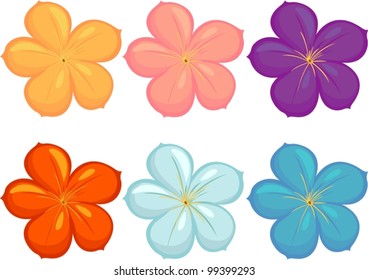 Illustration of flowers in different colours