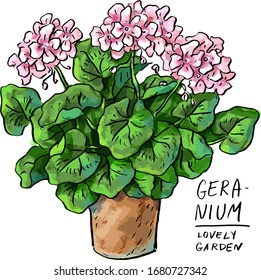 Illustration of flowers geranium in a vintage clay pot and lettering