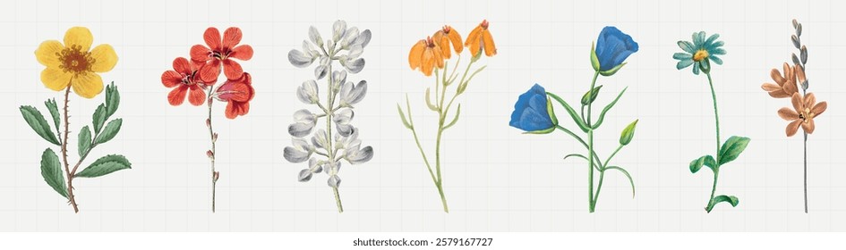 Illustration of flowers, including yellow, red, orange, blue, and white blooms. Diverse flowers with green leaves, arranged in a row. Vibrant floral design. Spring flower illustrations, vector set.