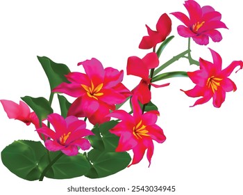 illustration with flowers isolated on white background