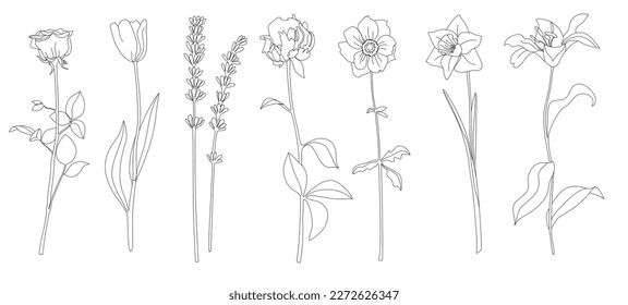 An illustration of flowers in line art on a white background