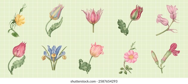 Illustration of flowers on a grid background. Features tulips, roses, and irises. Each flower is uniquely detailed, showcasing vibrant colors and delicate petals. Vintage illustrations, vector set.