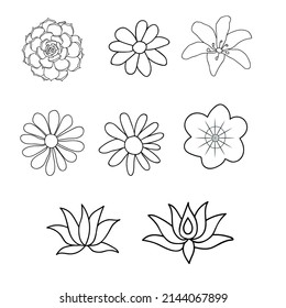 Illustration of the flowers on a white background. Vector illustration.