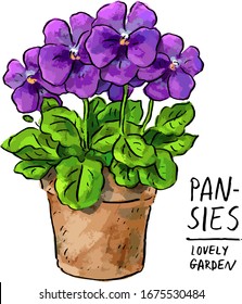 Illustration of flowers pansies in a vintage clay pot and lettering