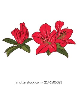 Illustration flowers in Phuluang Loei Provinces Thailand