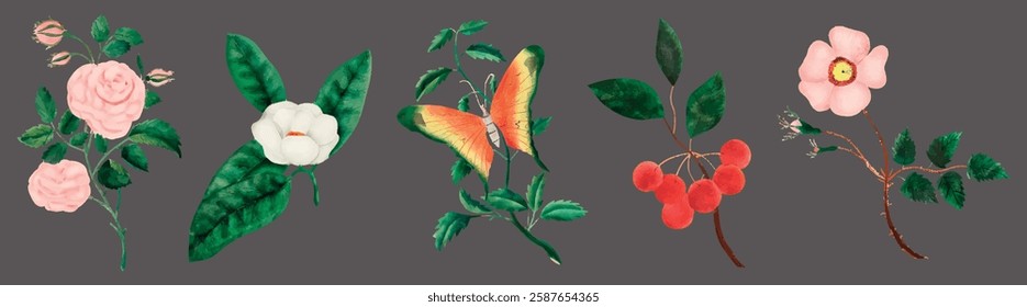 Illustration of flowers. Pink roses, white camellia, orange butterfly, red berries, and a pink flower on a gray background. Floral and nature theme. Spring flower illustrations, vector set.