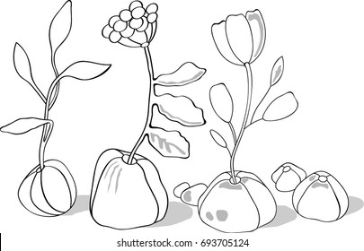 illustration flowers in pots