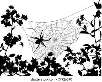 illustration with flowers, spider and web