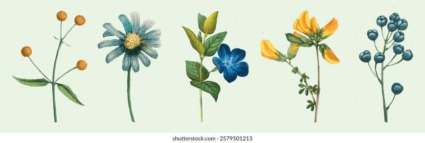 Illustration of flowers: yellow, blue, and green. Delicate floral design with yellow, blue, and green hues. Artistic depiction of flowers in nature. Spring flower illustrations, isolated vector set.