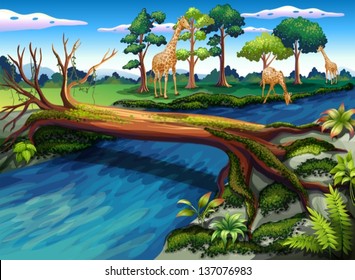 Illustration of a flowing river at the forest