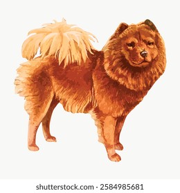 Illustration of a fluffy, brown Chow Chow dog with a thick mane and curled tail. The Chow Chow stands proudly, showcasing its distinctive fluffy coat. Vintage art illustration, vector.