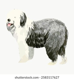 Illustration of a fluffy Old English Sheepdog. The dog is standing, showcasing its thick, shaggy coat. Old English Sheepdog with a playful expression. Vintage dog illustration vector.