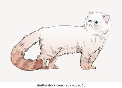 Illustration of a fluffy Persian cat with a bushy tail. The cat has a soft, cream-colored coat and blue eyes, standing with a curious expression. Vintage vector illustration.