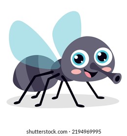 Illustration Of A Fly Insect