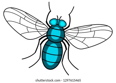 Illustration of the fly insect icon