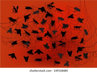 illustration with fly silhouettes and spider web on red background