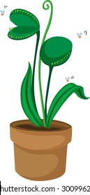 An Illustration Of A Fly Trap Plant