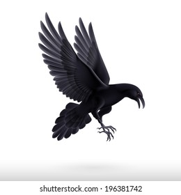 Illustration of flying black raven isolated on white background