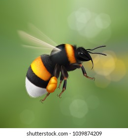 Illustration of Flying Bumblebee Species Bombus Terrestris Common Name Buff-Tailed Bumblebee or Large Earth Bumblebee on Blur Nature Background