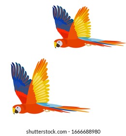 Illustration of flying colorful parrots.