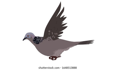 Illustration of a flying dove vector