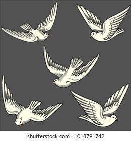 Illustration of flying doves in different positions.Hand drawn contoured pigeon. Hand drawn of flying doves with love letters isolated on grey. Retro,vintage detailed image done in black line strokes