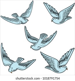 Illustration of flying doves in different positions.Hand drawn contoured pigeon. Hand drawn of flying doves with  isolated on white. Retro,vintage detailed image done in black line strokes
