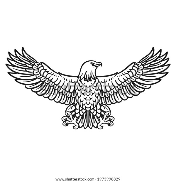 Illustration Flying Eagle Bald Eagle Black Stock Vector (Royalty Free ...