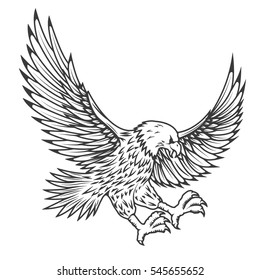 Illustration of flying eagle isolated on white background. Vector illustration.