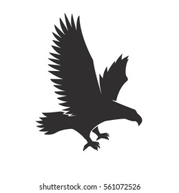 Illustration of flying eagle isolated on white background. 