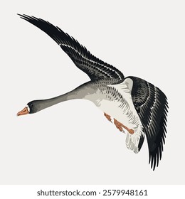 Illustration of a flying goose with detailed feathers and a gray body. The goose is depicted mid-flight, showcasing its wings and beak prominently. Vintage bird illustration vector.