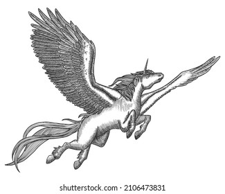 Illustration of the flying pegasus.Hand drawn engraving. Vector vintage illustration. 