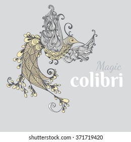 Illustration of flying Phoenix Bird. Magic colibri bird on grey background.