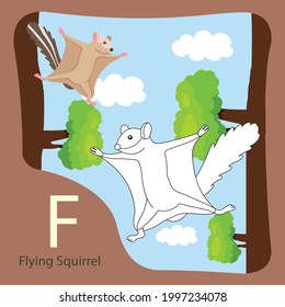 Illustration Of Flying Squirrel Isolated And Coloring