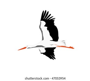 Illustration of a flying stork