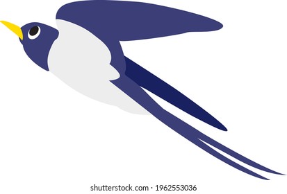 Ilustración de una golondrina voladora