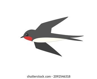 It is an illustration of a flying swallow.