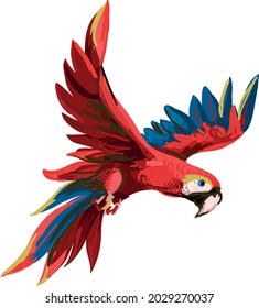 Illustration of a flying tropical parrot