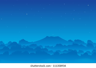 Illustration of a foggy forest in the night.