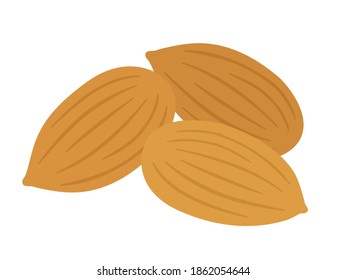 Illustration of food almond nuts.