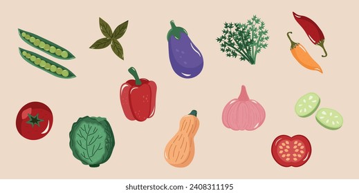 illustration of foods good for health, vegetables, fruits, greens. Eggplant, garlic, lettuce, pepper, peas. Flat design