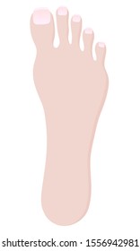 Illustration of foot with clean nails