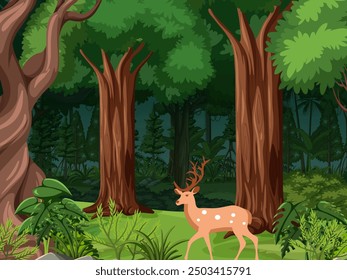 It is an illustration of forest.