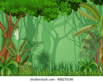 Illustration of forest background