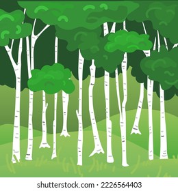 Illustration of a forest with birch trees, foliage on a hill. Children's illustration. Suitable for printing in children's books and magazines.