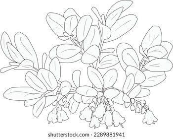 illustration with forest blossoming branch isolated on white background