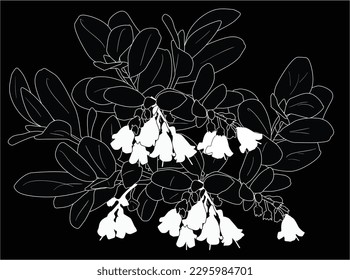 illustration with forest blossoming branch isolated on black background