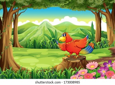 Illustration of a forest with a colorful bird standing above the stump